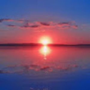 Meet your Posher, Carolyn